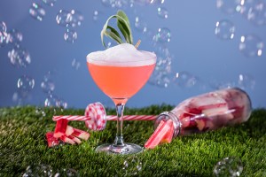 Rhubarb Fizz cocktail recipe