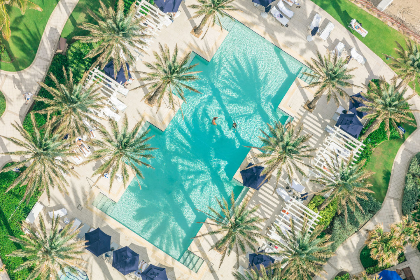 Grey Malin Palm Trees Pool Photography
