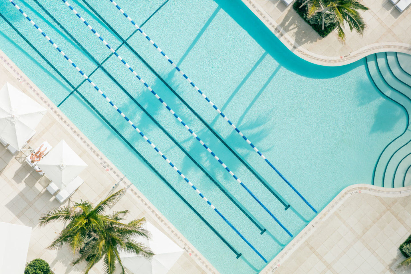 Grey Malin The Lap Pool Palm Beach