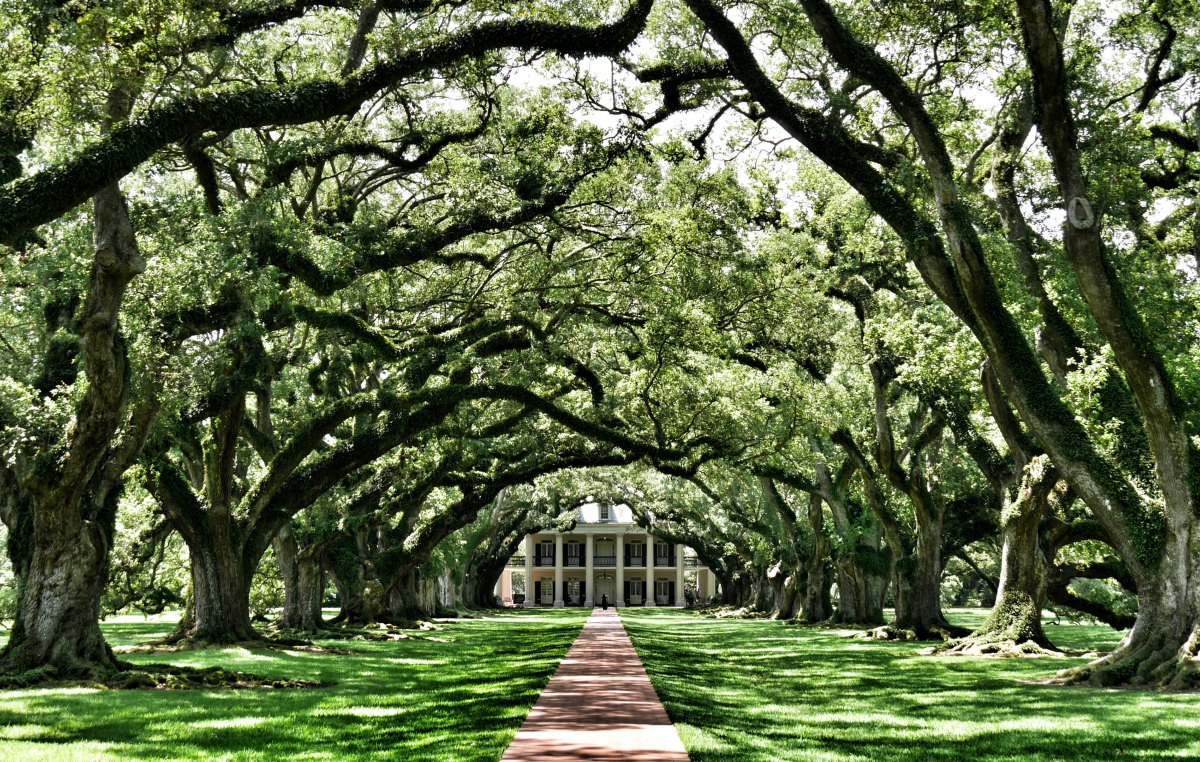 oak alley plantation louisiana