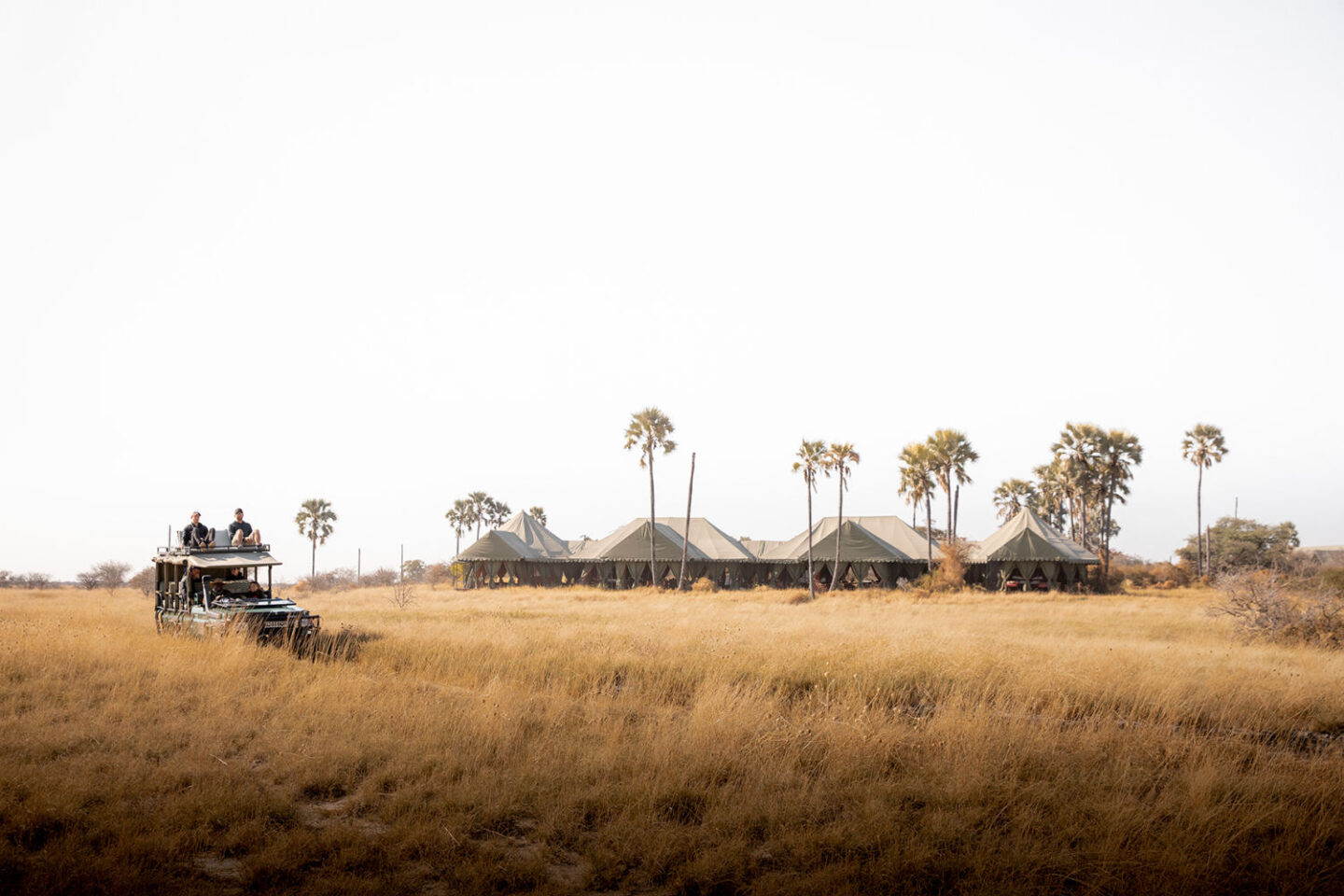 AG Reviews: Jack’s Camp, Botswana